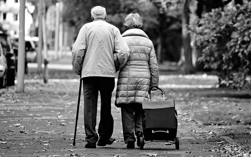 • N2 portal