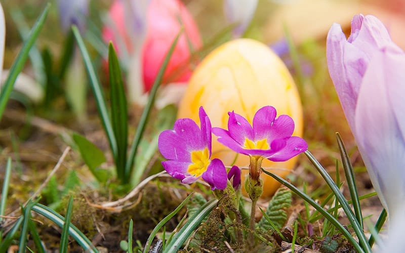 veliki-petak-jaja-cvece