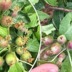 grad-pogodio-cacanska-sela-unisteno-voce