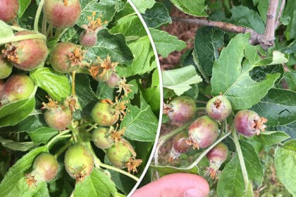 grad-pogodio-cacanska-sela-unisteno-voce