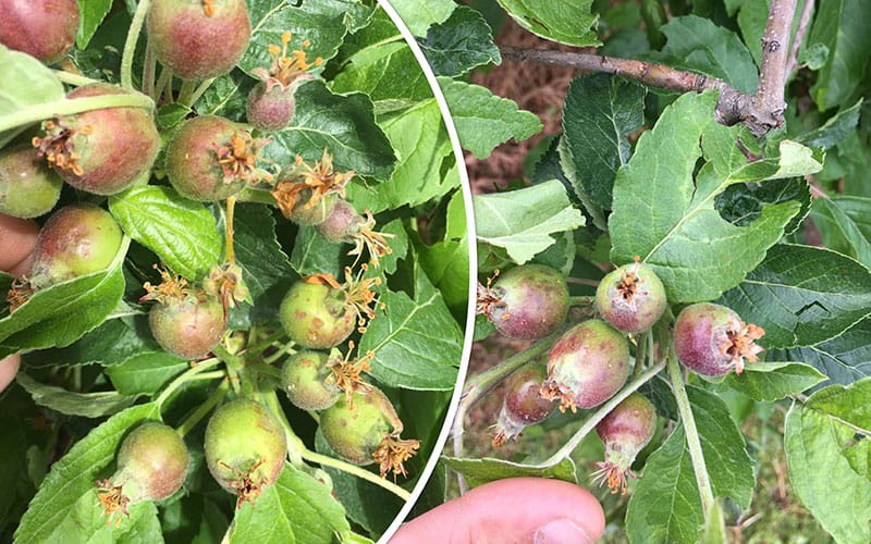 grad-pogodio-cacanska-sela-unisteno-voce