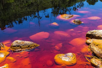 zagadjena-reka-rio-tinto