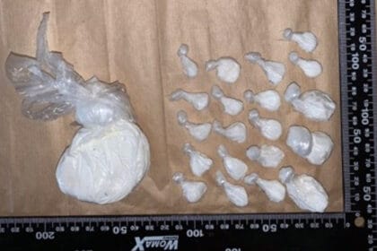 droga-hapsenje-milanovcanin