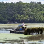 ciscenje-jezero-medjuvrsje