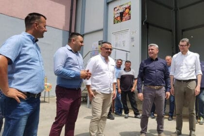 nedimovic-cacak-vocari