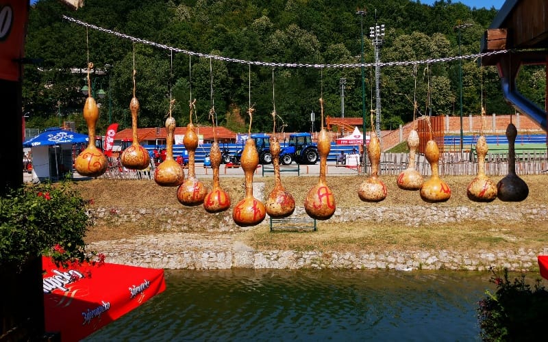 brocica-avlija-guca-foto-nenad-nesovic-n2-4 • N2 portal