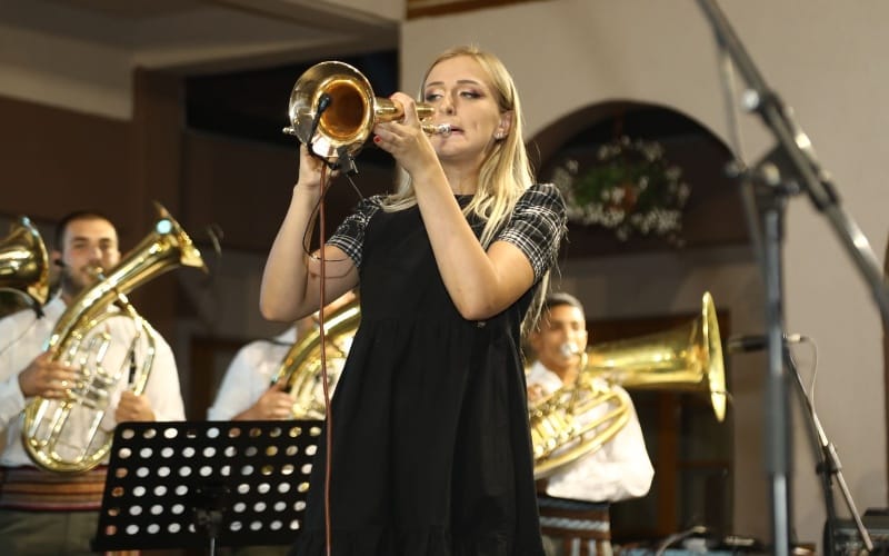 • N2 portal danijela-veselinovic-truba-guca