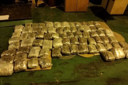 autobus-gradina-zaplenjena-marihuana