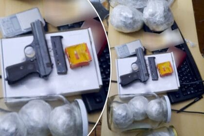 hapsenje-beograd-droga-oruzje-akcija-gnev