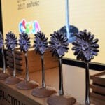 nagrada-turisticki-cvet