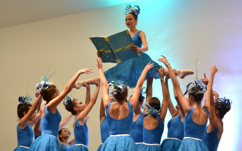 promocija-romana-crna-ptica-cacak-balerine