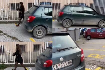 sanja-djokovic-sns-automobil-opstinska-uprava-cacak