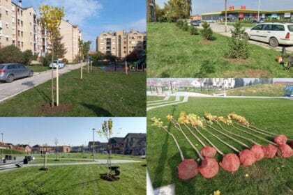 akcija-zeleni-pojas-cacka