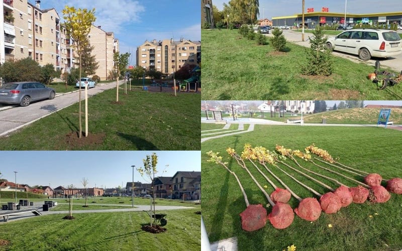 akcija-zeleni-pojas-cacka