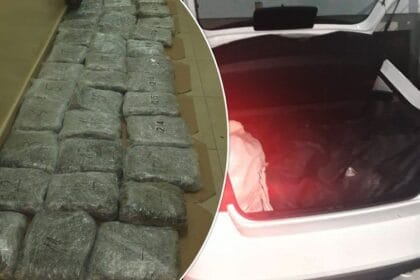 kokin-brod-marihuana-zaplena