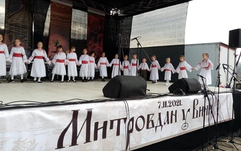 manifestacija-mitrovdan-u-vici-folklor