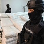 u-nisu-zaplenjeno-520-kilograma-marihuane-1