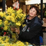 dani-beograda-u-herceg-novom-mimoze