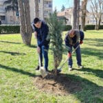 gradski-park-cacak-nova-stabla