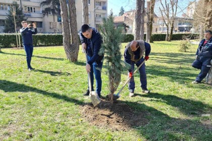 gradski-park-cacak-nova-stabla