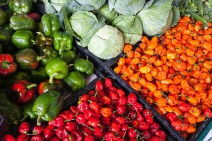 poljoprivreda-povrce-paprika-kupus