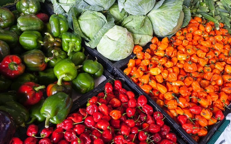 poljoprivreda-povrce-paprika-kupus