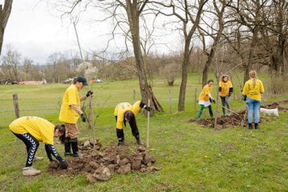 kampanja-vi-birate-mi-sadimo-ps-fashion