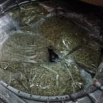 kanabis-kraljevo-zaplena-bunker