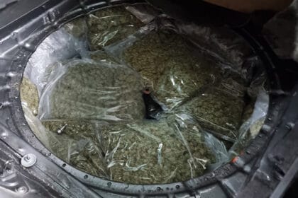 kanabis-kraljevo-zaplena-bunker