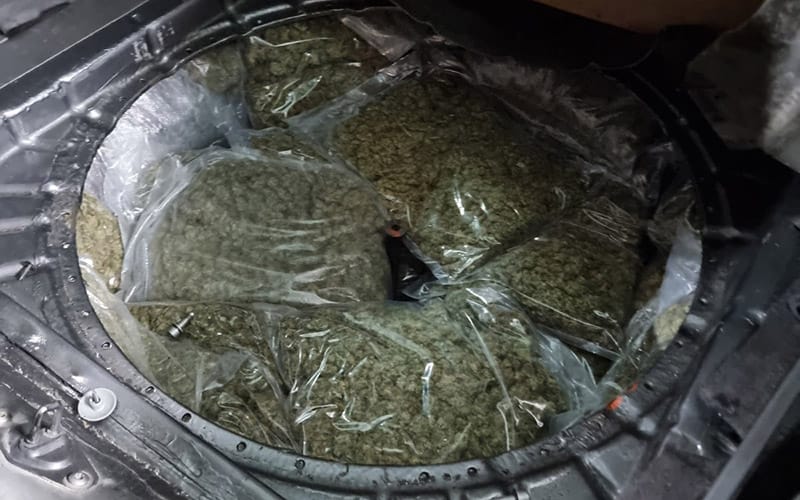 • N2 portal kanabis-kraljevo-zaplena-bunker