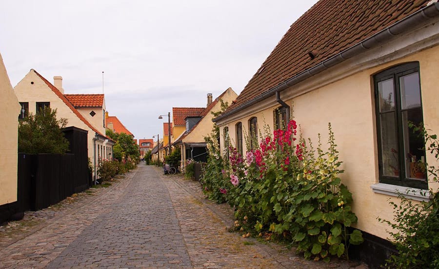kuce-ulica-selo