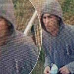 potraga-za-razbojnikom-beograd