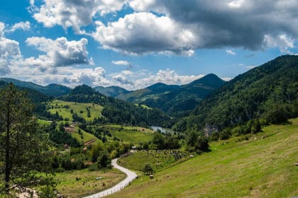tara-priroda-planina