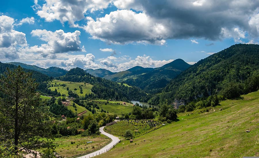 tara-priroda-planina