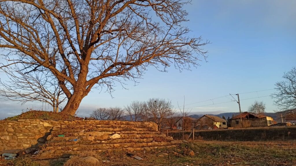 • N2 portal arheolosko-nalaziste-latifka (2)