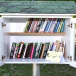 biblioteka-na-otvorenom-skejt-park