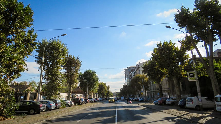 platani-ulica-cara-dusana-beograd