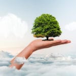 zastita-zivotne-sredine-drvo-ruka