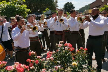 61-sabor-trubaca-guca-foto-nenad-nesovic-n2-1