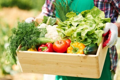 povrce-organska-hrana