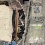 hapsenje-srba-belgija-droga