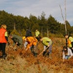 posumljavanje-cemerno-studenica-ps-fashion-1