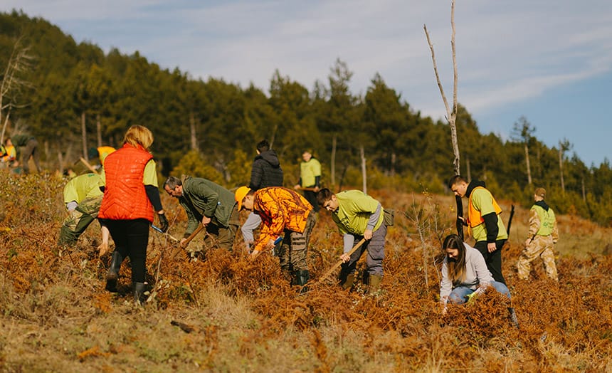 posumljavanje-cemerno-studenica-ps-fashion-1