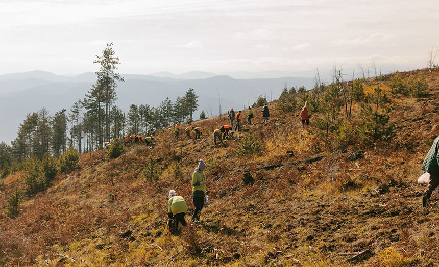 posumljavanje-cemerno-studenica-ps-fashion-2