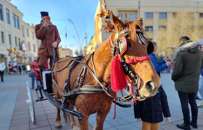 • N2 portal bozicna-voznja-cacak-2023-foto-nenad-nesovic-n2 (28)