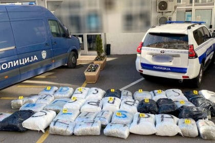 zaplena-marihuane-nis