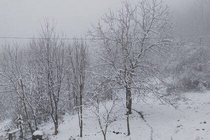 Sneg u Gornjoj Vrbavi