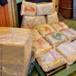 gradina-sverc-marihuana