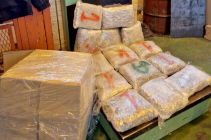 gradina-sverc-marihuana