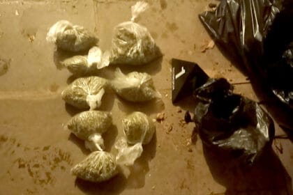 uhapsen-cacanin-marihuana-dilovanje